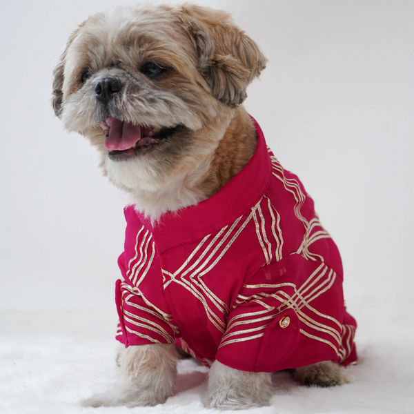 Pawgypets Festive Gota Shirt for Dogs (Hot Pink)