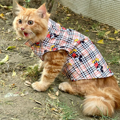 Pawgypets Mickey Check Sando for Cats (Beige)