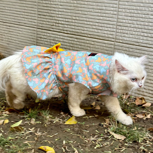 Pawgypets Mickey Overloaded Dress for Cats (Pastel Green)