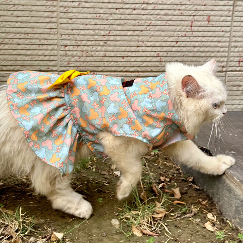 Pawgypets Mickey Overloaded Dress for Cats (Pastel Green)