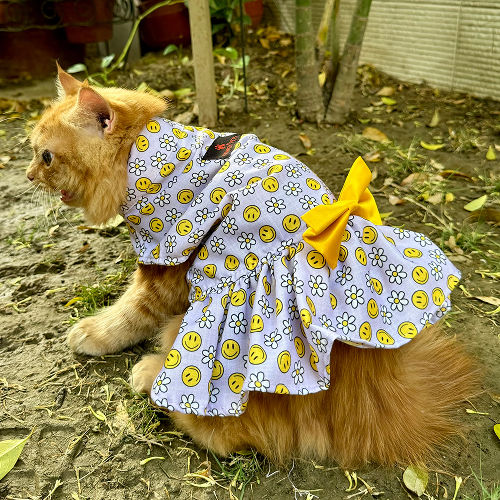 Pawgypets Smiley Daisy Dress for Cats (Lavender)