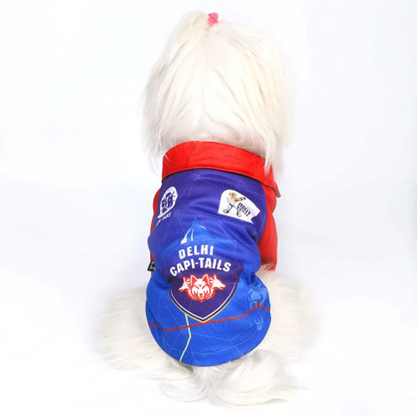 Pets Way Delhi Capi Tails IPL Jersey for Dogs and Cats (Blue)| Indian Pet League