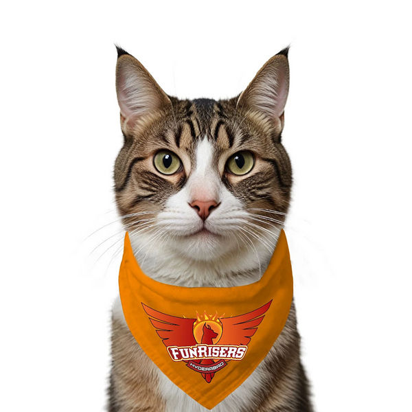 Ruse IPL Funrisers Hyderabad Printed Bandana for Cats (Orange) | Indian Pet League