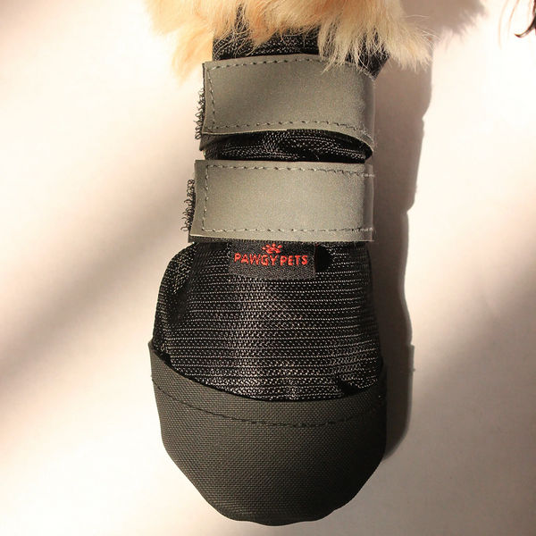 Pawgypets Walkies Everyday Shoe for Dogs (Black, Set of 4)