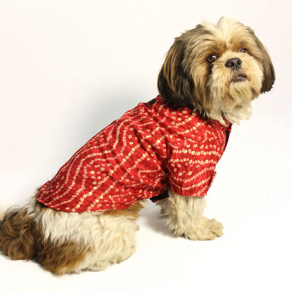Pawgypets Bandani Kurta for Dogs (Red)