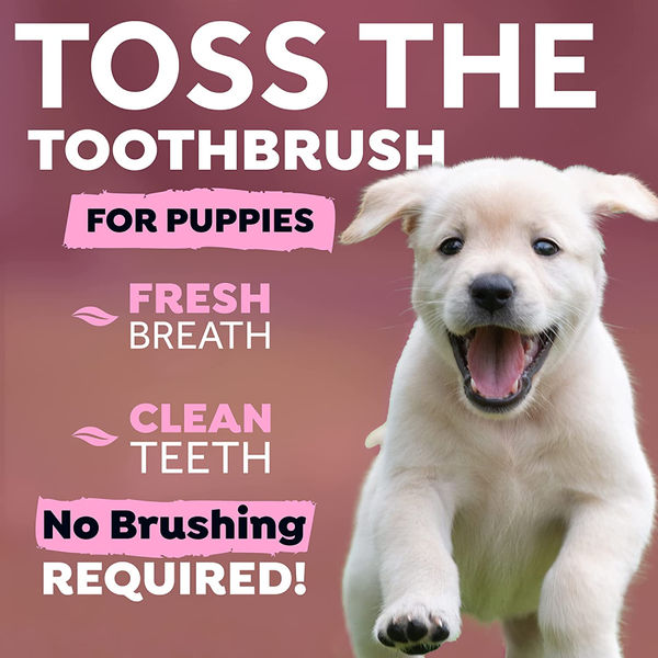 Tropiclean Fresh Breath Puppy Water Additive for Dogs