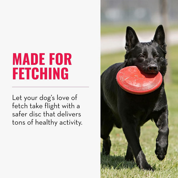 Kong Flyer Toy for Dogs (Red)