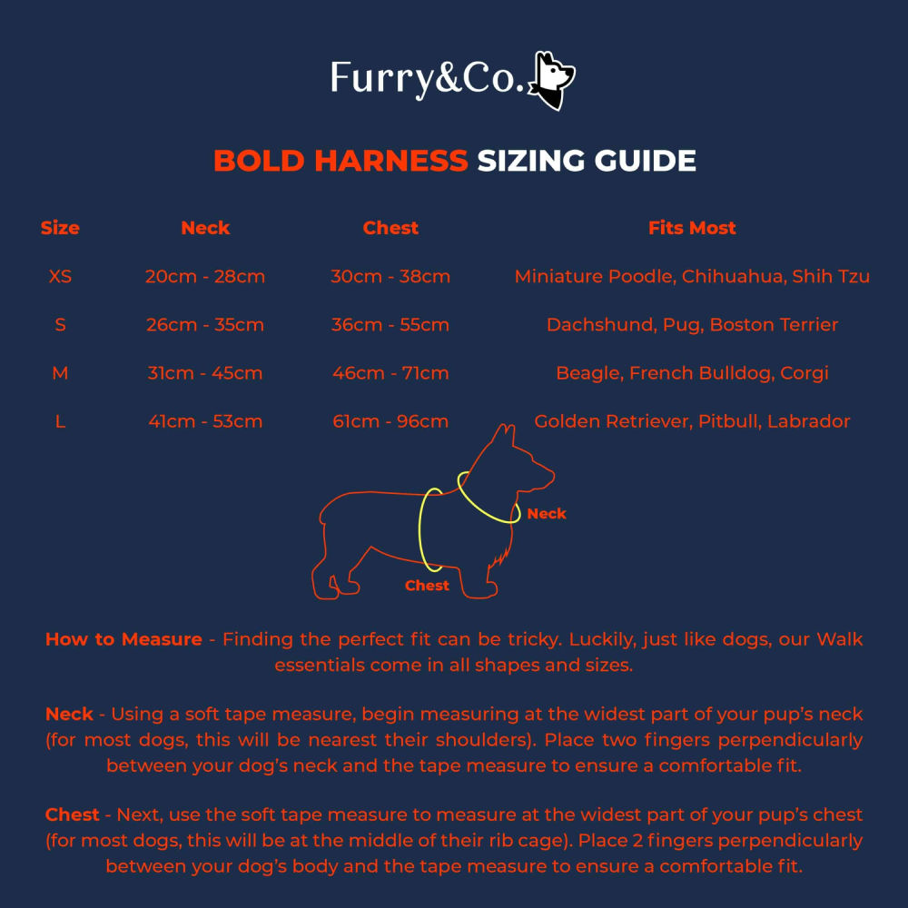 Furry & Co Bold Harness for Dogs (Everest Blue)