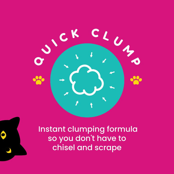 Petcrux Eco Clump Bentonite Unscented Cat Litter