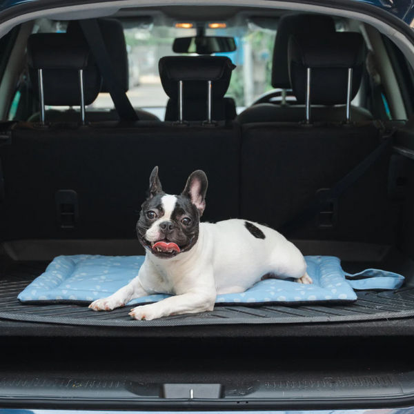 Pet Set Go Sky Bloom Mat for Dogs (Sky Blue)