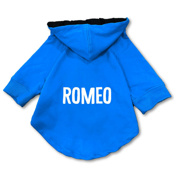 Pawsindia Romeo Hoodie for Dogs (Blue)