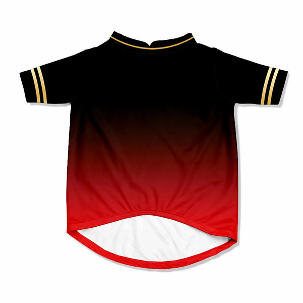 Pawsindia Royal Pups Of Bangalore T20 Pets Premier League Jersey for Dogs | Indian Pet League