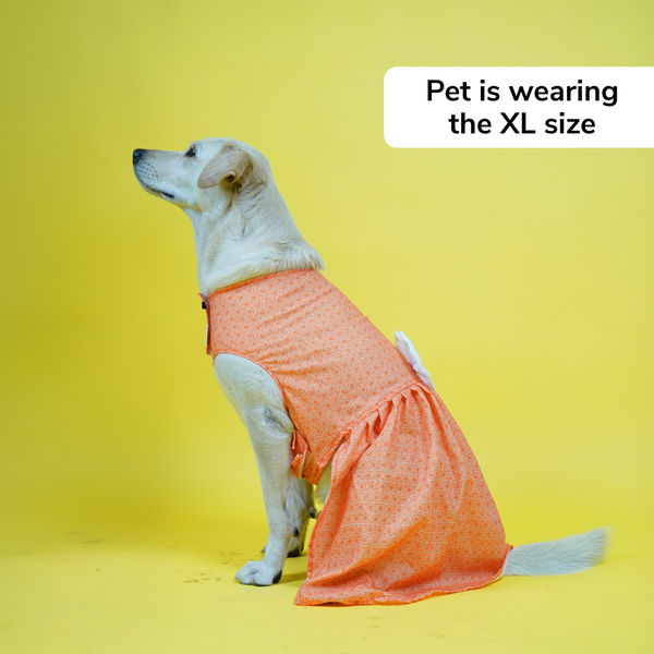 Skatrs Marigold Mandala Printed Dress for Dogs and Cats (Orange)