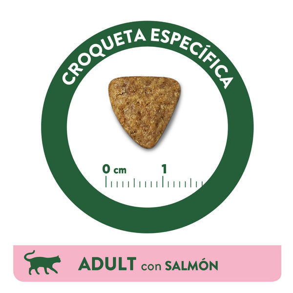 Affinity Libra Adult Cat Salmon Dry Food
