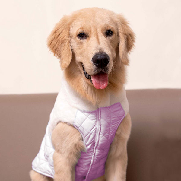 Pets Way Cozyquilt Winter Jacket for Dogs (Mauve)