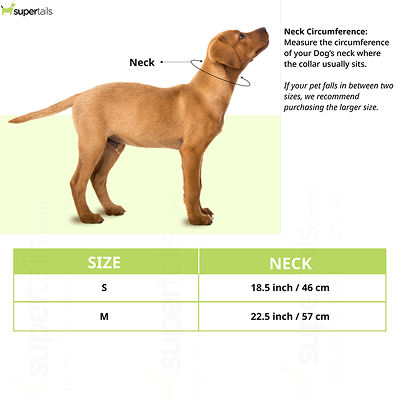 Mitag Go Anti Loss Device with Collar for Small Dogs (Blue) | Android