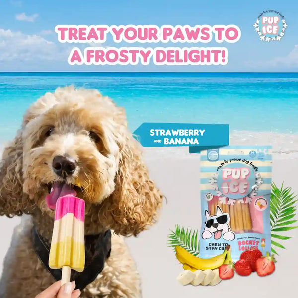Pup Ice Meat Free Strawberry and Banana Flavoured Rocket Lollies Dog Treat