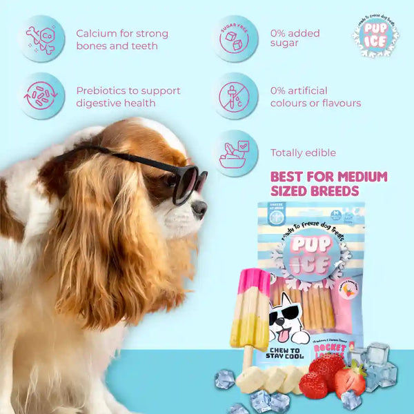 Pup Ice Meat Free Strawberry and Banana Flavoured Rocket Lollies Dog Treat