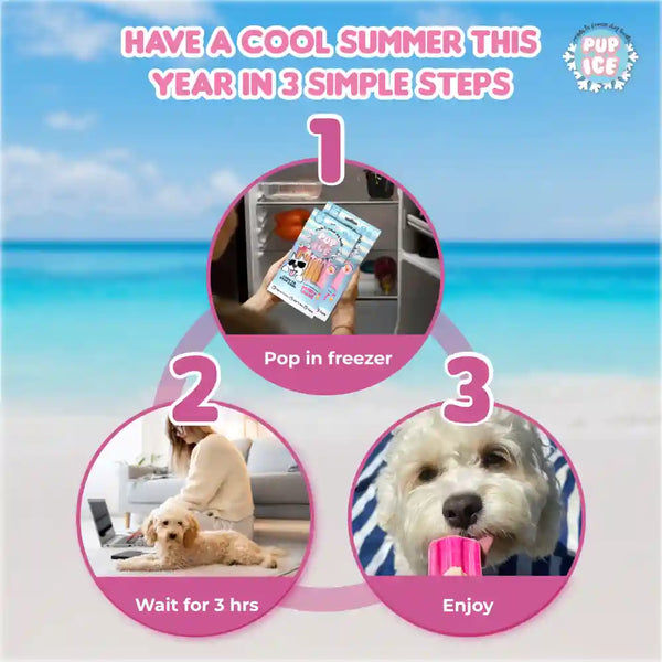 Pup Ice Meat Free Strawberry and Banana Flavoured Rocket Lollies Dog Treat
