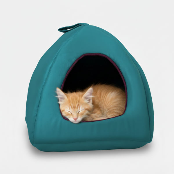 Skatrs Cozy House for Cats, Kittens and Small Dogs (Teal Blue and Purple)