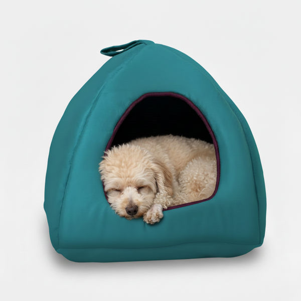 Skatrs Cozy House for Cats, Kittens and Small Dogs (Teal Blue and Purple)