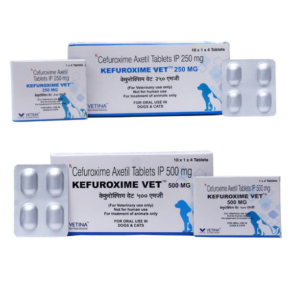 Vetina Kefuroxime Vet 250mg Tablets (Cefuroxime Axetil) for Dogs and Cats