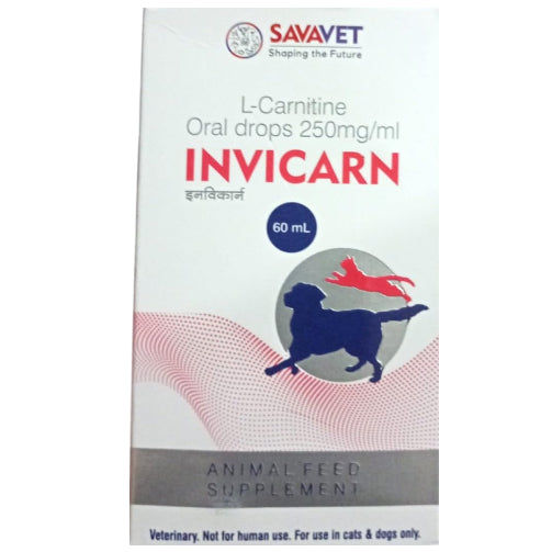 la l carnitina se toma antes o despues del ejercicio Levocarnitine_Baiduwiki main image 0