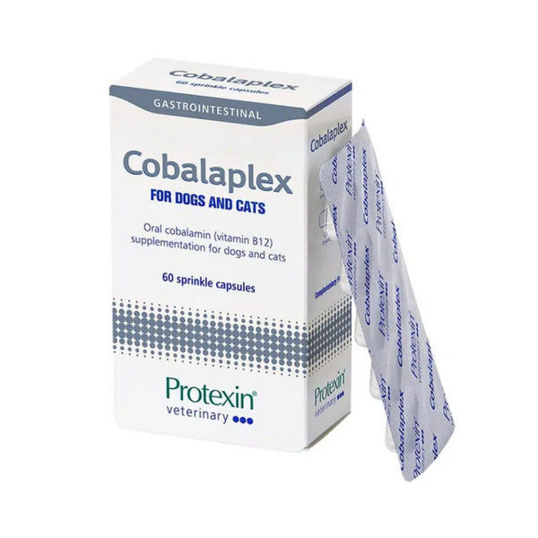Protexin Cobalaplex for Dogs & Cats