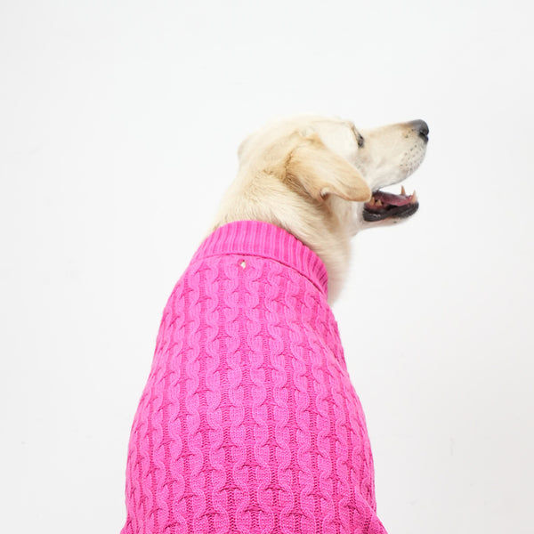 Skatrs Hot Pink Sweater For Dogs and Cats