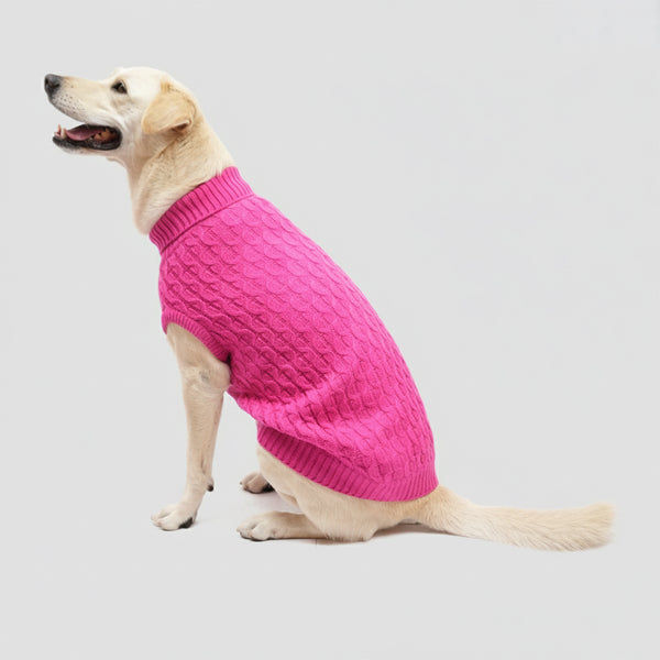 Skatrs Hot Pink Sweater For Dogs and Cats