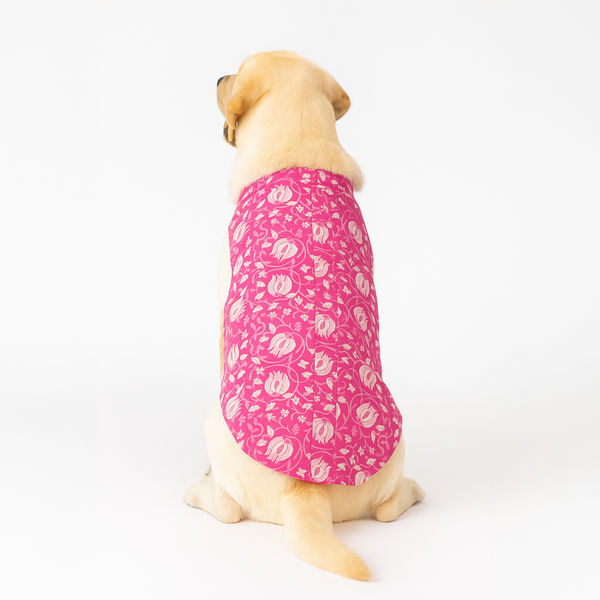 Skatrs Petal Charm Kurta for Dogs and Cats (Pink)
