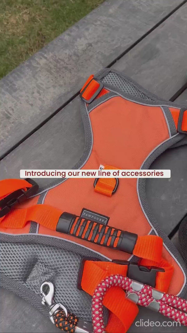 Pawpourri Adjustable Reflective Padded Harness for Dogs (Orange)
