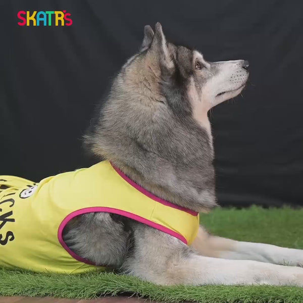 Skatrs No Tricks Only Treats Printed Summer Cotton T Shirt Dogs and Cats (Yellow)