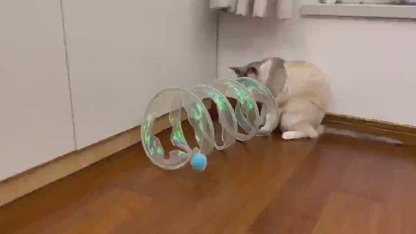 Barkbutler x Fofos Safari Spiral Tunnel Toy for Cats
