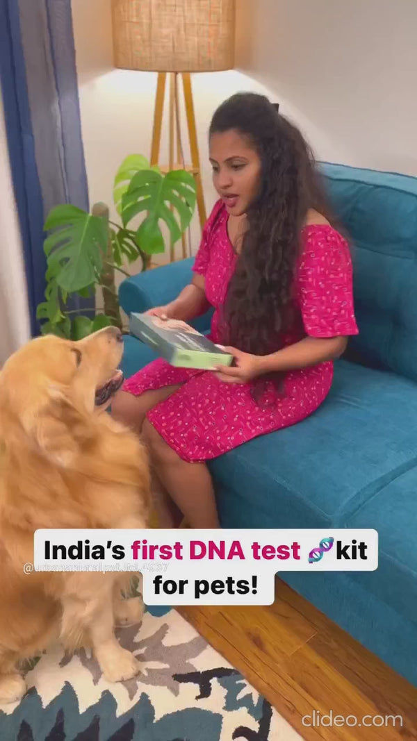 Urban Animal DNA Test for Mating Check Track Test Kit for Dogs
