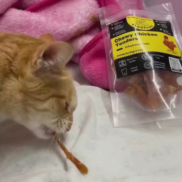 FloofYou Air Dried Chewy Chicken Tender Dogs & Cats Treat