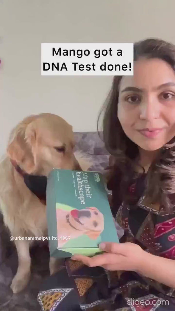 Urban Animal DNA Test for Mating Check Track Test Kit for Dogs