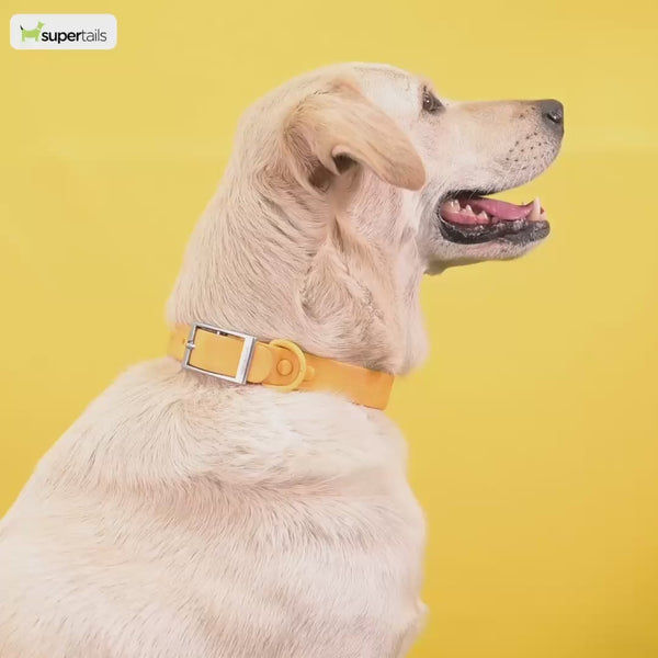 Trixie Premium Extra Wide Neoprene Padded Collar for Dogs (Camouflage/Forest Green)