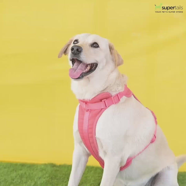 Furry & Co Raining Rainbow No Pull Harness for Dogs