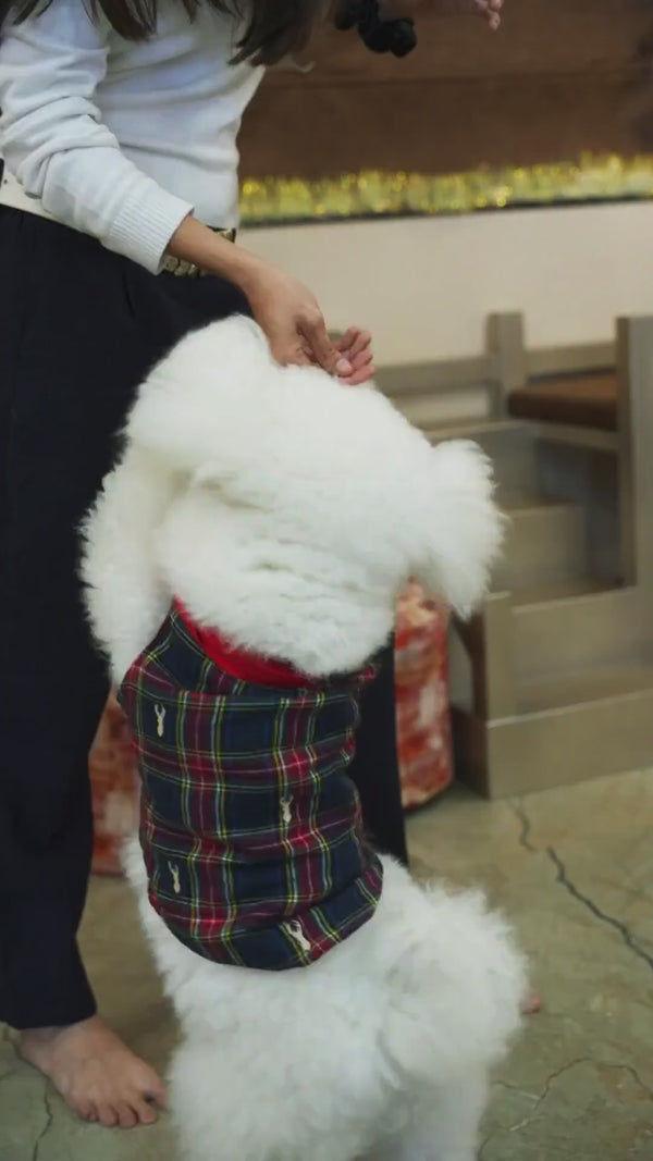 Bark Out Loud by Vivalidis Veggie Bacon Vegan Spanish Dog Treats