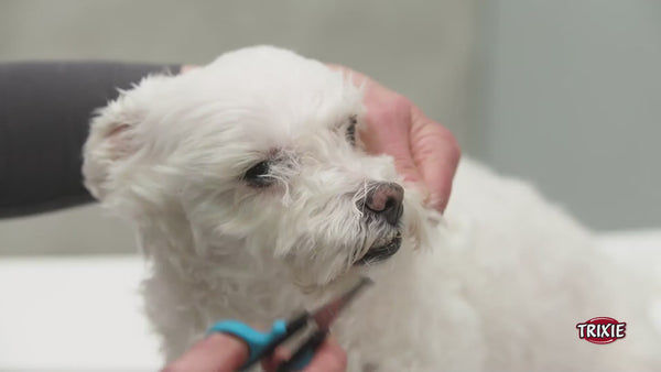 Trixie Face & Paw Scissors for Dogs and Cats