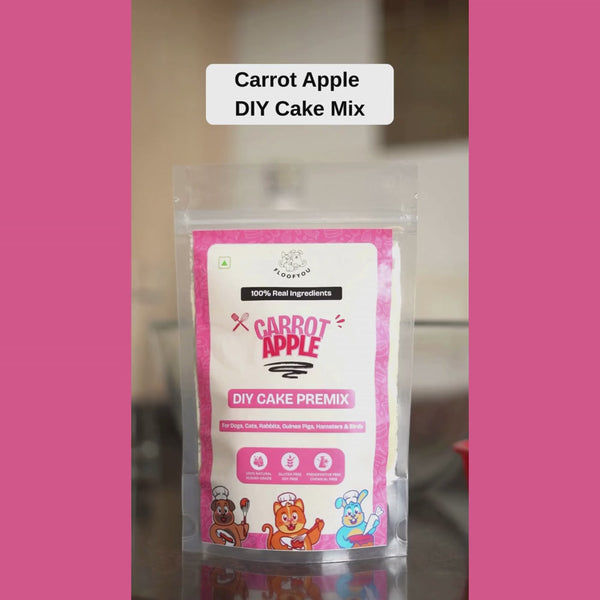 Floofyou Home Made Carrot Apple Birthday Cake Mix for Dogs and Cats