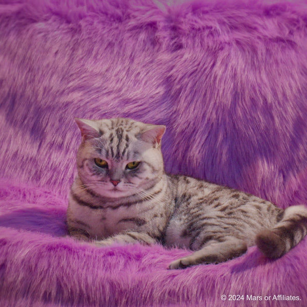 Whiskas Tuna with Kanikama And Carrot in Gravy Tasty Mix Adult Cat Wet Food