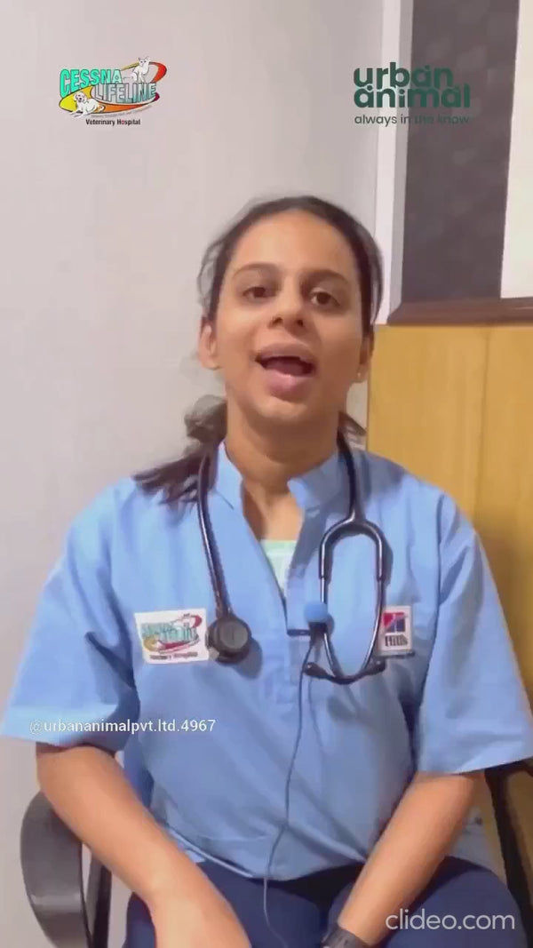 Urban Animal DNA Test for Mating Check Track Test Kit for Dogs