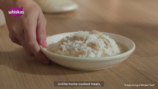 Whiskas Ocean Fish Flavour Adult Cat Dry Food