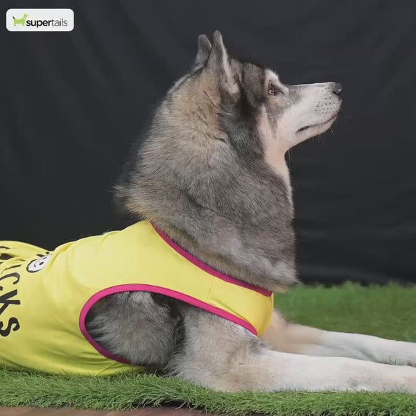 Petsnugs Retro Check Shirt for Dogs and Cats