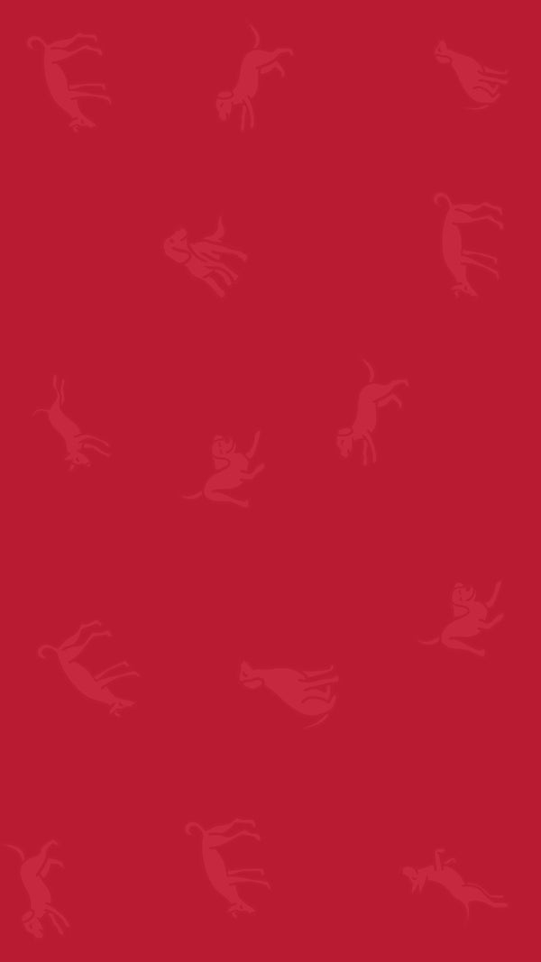 Chip Chops Sweet Potato Chicken Dog Treats