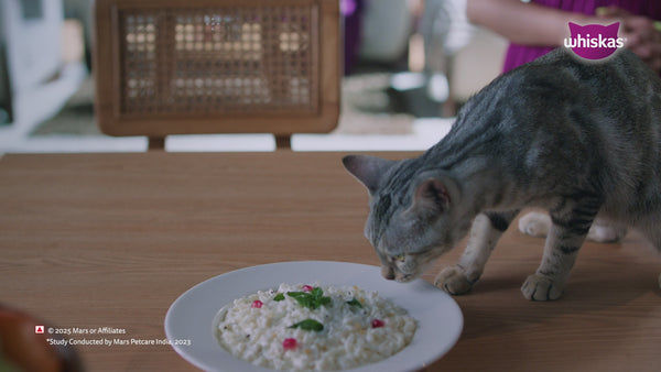 Whiskas Chicken in Gravy Adult Cat Wet Food