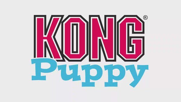 Kong Ball with Hole Toy for Dogs (Red) | For Aggressive Chewers