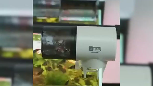 QPets Automatic Aquarium Feeder for Fish